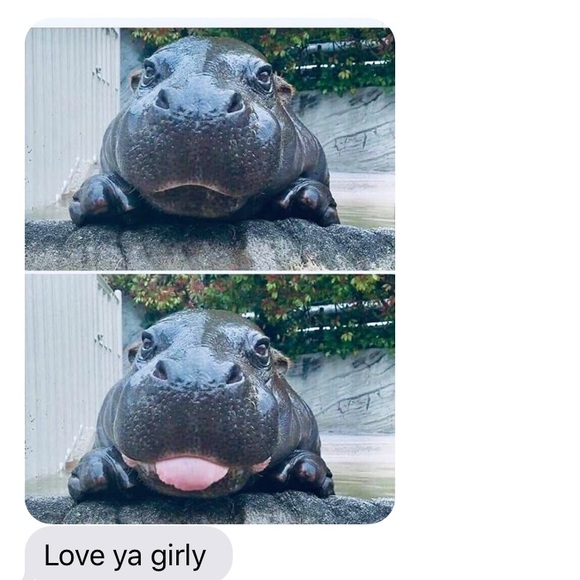 Meet your Posher, Jeanine - Picture 1 of 1